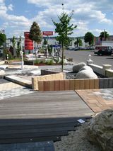 IMG_0245M