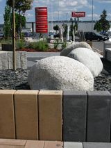 IMG_0252M
