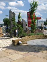 IMG_0258M