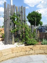 IMG_0260M