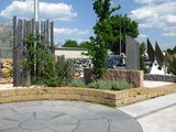 IMG_0261M