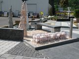 IMG_0265M