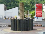 IMG_0266M